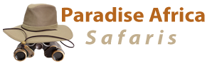 Paradise Africa Safaris